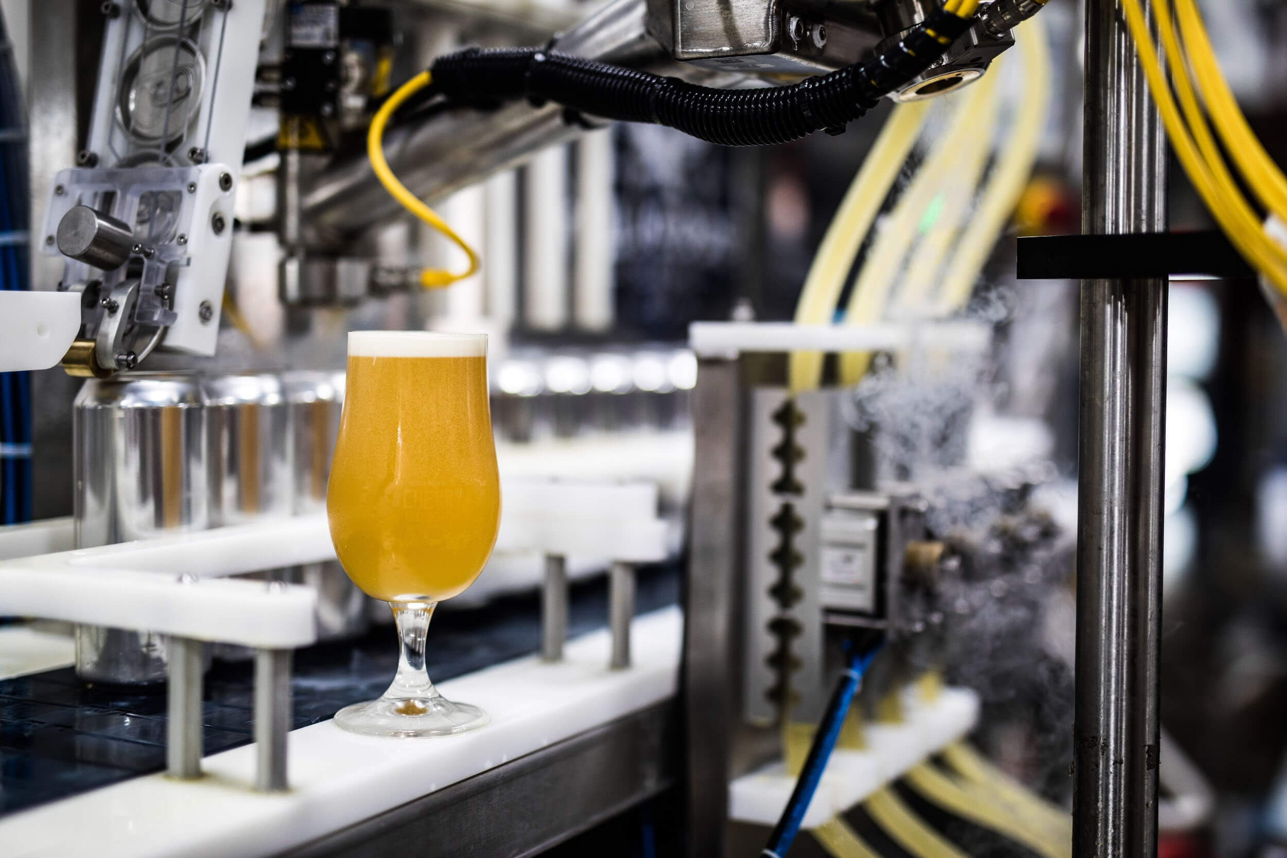 Beer on canning line